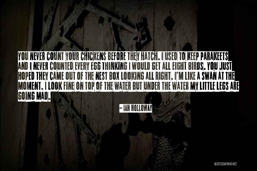 Dimitrova Quotes By Ian Holloway Dimitrova Quotes By Ian Holloway