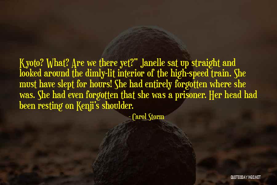 Dimly Lit Quotes By Carol Storm