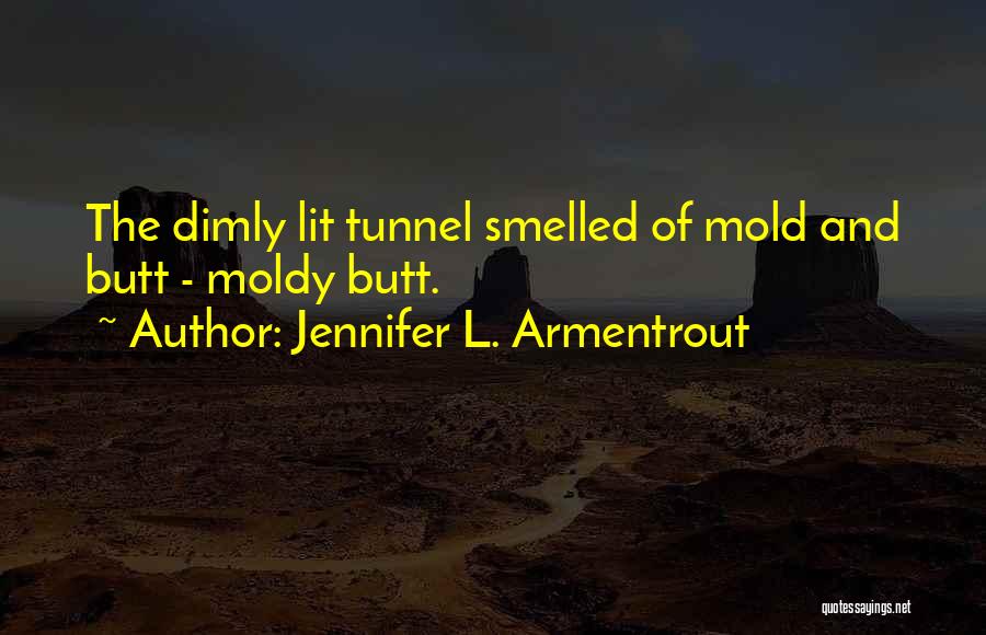 Dimly Lit Quotes By Jennifer L. Armentrout