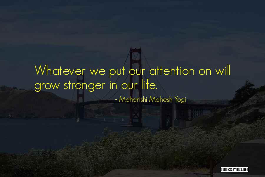 Dimoda Clothing Quotes By Maharishi Mahesh Yogi Dimoda Clothing Quotes By Maharishi Mahesh Yogi