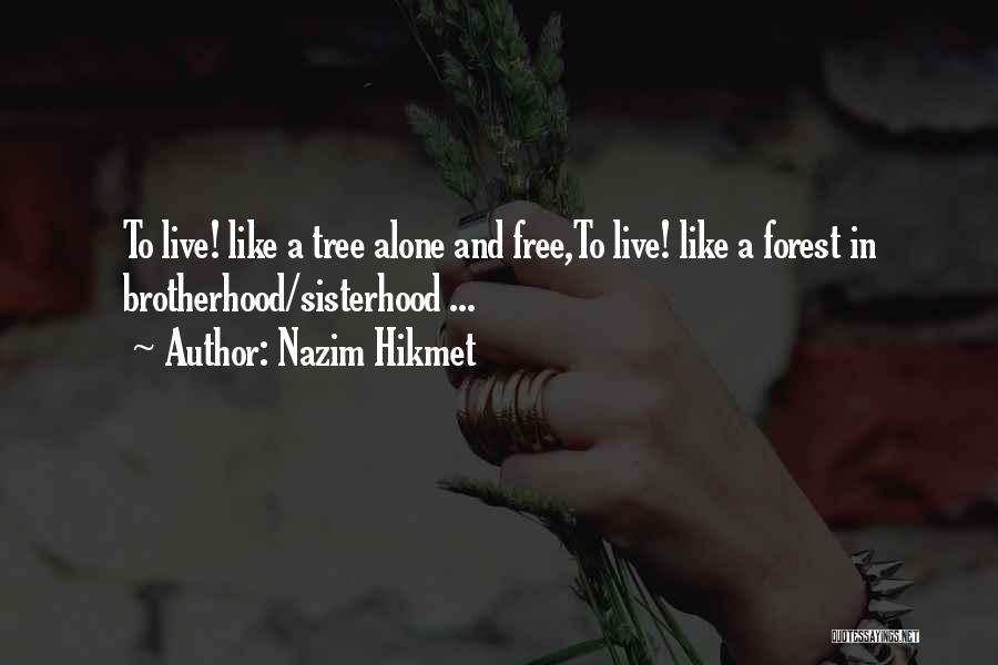 Dimora Delle Quotes By Nazim Hikmet