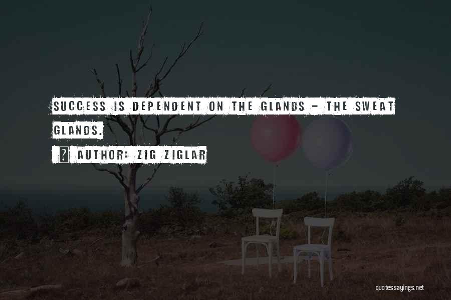 Dimore E Quotes By Zig Ziglar