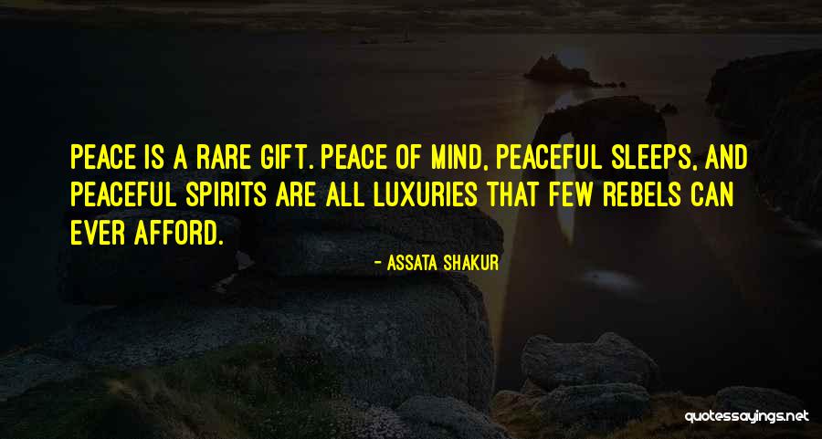Dina Demille Quotes By Assata Shakur Dina Demille Quotes By Assata Shakur