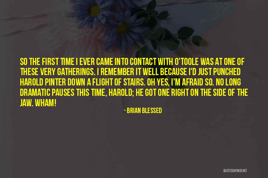 Dinamisme Quotes By Brian Blessed Dinamisme Quotes By Brian Blessed
