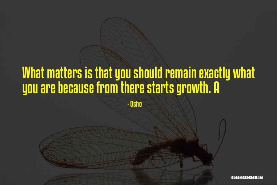 Dinamita Takis Quotes By Osho Dinamita Takis Quotes By Osho