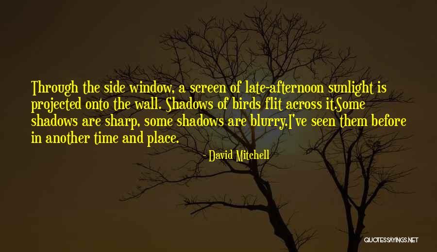Dinara Drukarova Quotes By David Mitchell