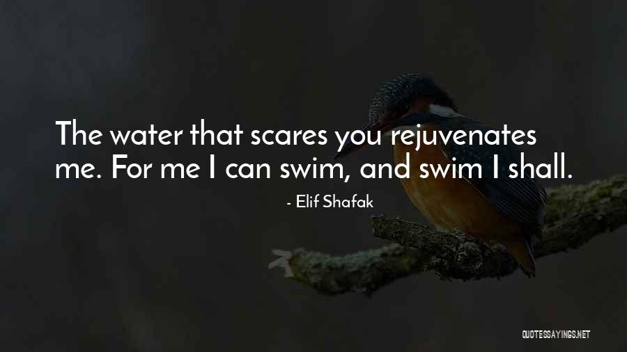 Dinars Detective Update Quotes By Elif Shafak Dinars Detective Update Quotes By Elif Shafak
