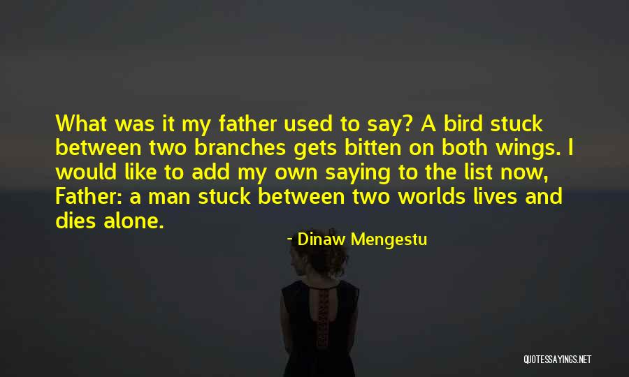 Dinaw Mengestu Quotes 1748301