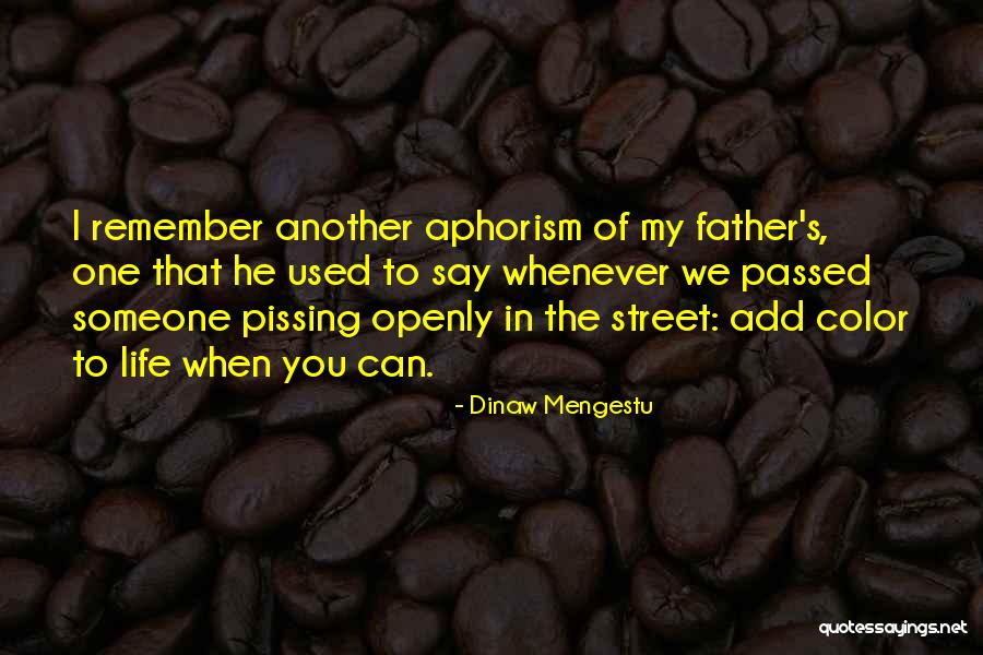 Dinaw Mengestu Quotes 81601