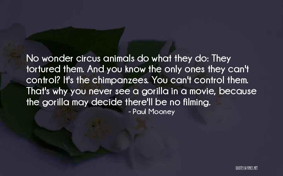 Dindirt Quotes By Paul Mooney Dindirt Quotes By Paul Mooney