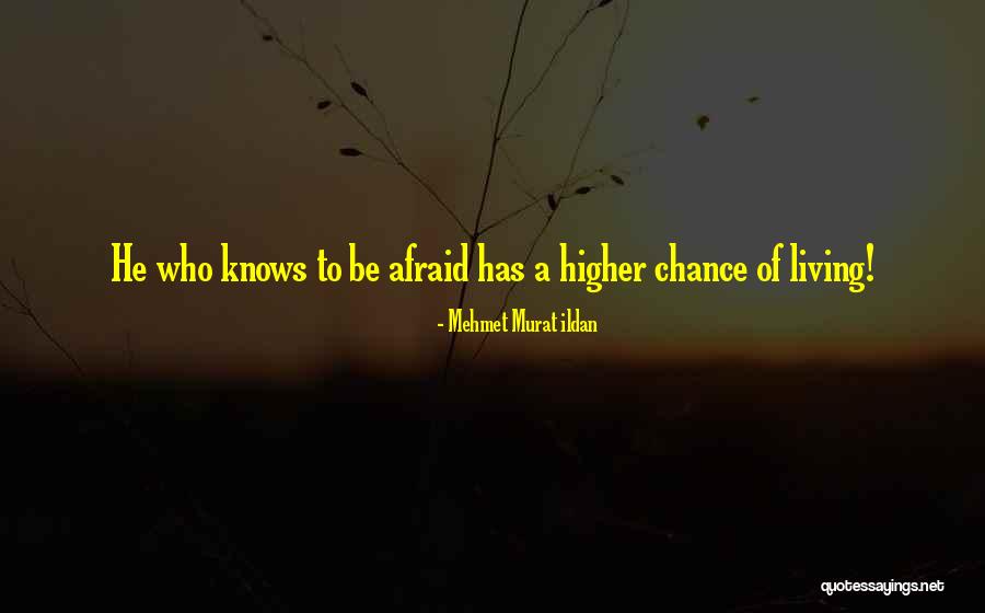 Dinelli Plumbing Quotes By Mehmet Murat Ildan Dinelli Plumbing Quotes By Mehmet Murat Ildan