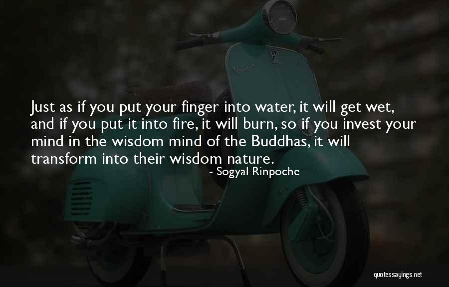 Dinelli Plumbing Quotes By Sogyal Rinpoche Dinelli Plumbing Quotes By Sogyal Rinpoche