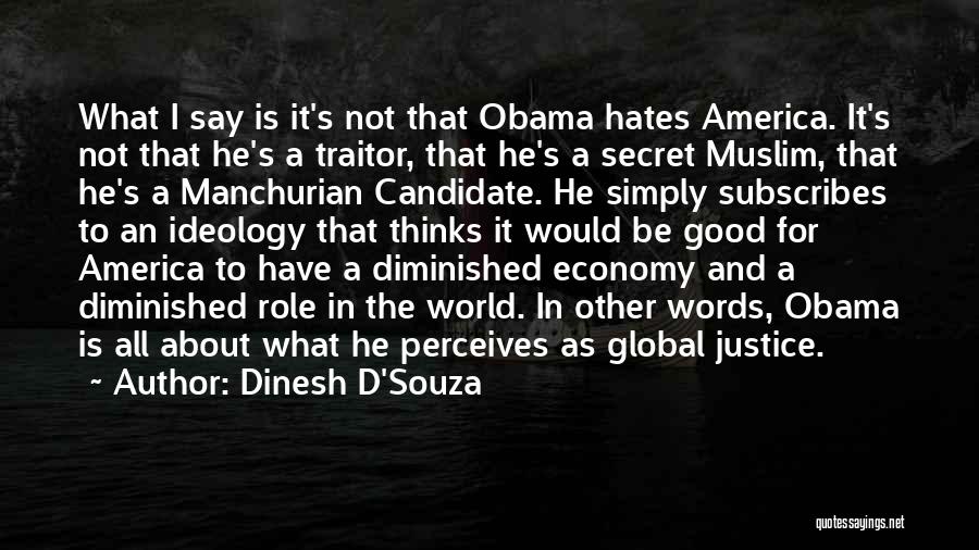 Dinesh D'Souza Quotes 1061453