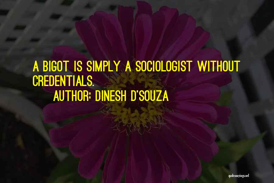 Dinesh D'Souza Quotes 407792