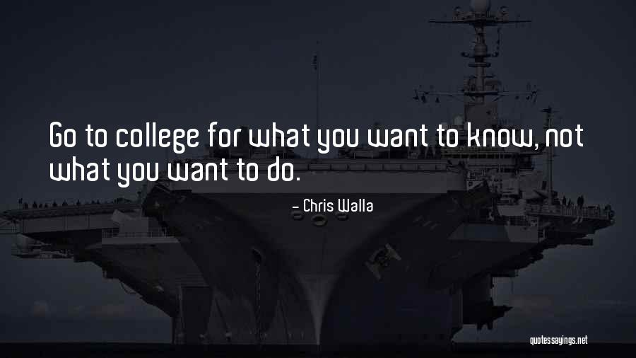 Dinesh Mohan Quotes By Chris Walla Dinesh Mohan Quotes By Chris Walla