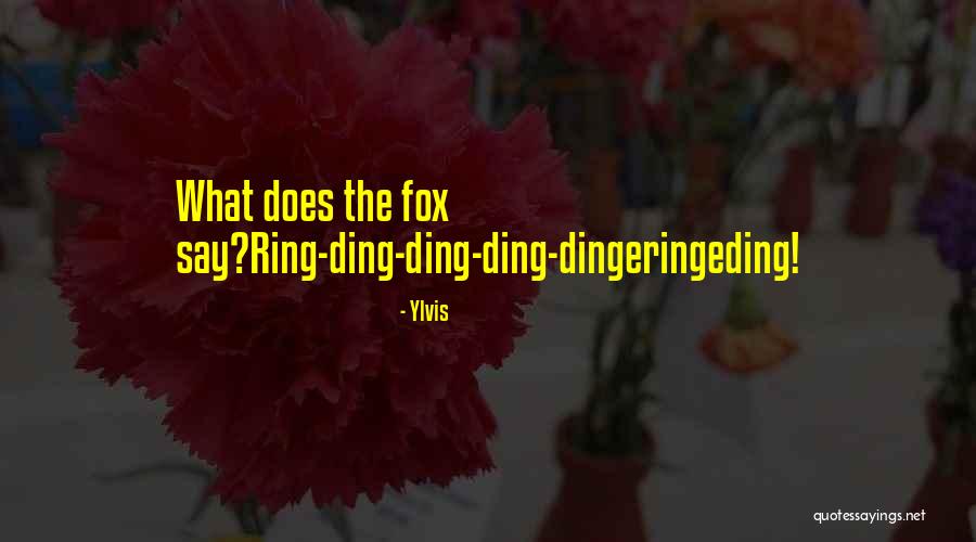 Ding Quotes By Ylvis Ding Quotes By Ylvis