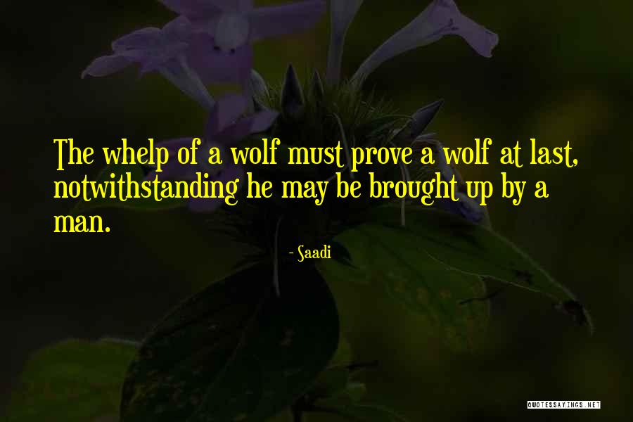 Dingeldein Obituary Quotes By Saadi Dingeldein Obituary Quotes By Saadi