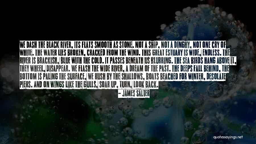 Dinghy Quotes By James Salter