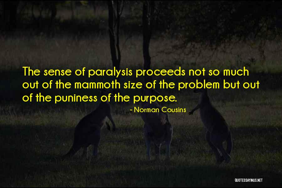 Dinginnya Angin Quotes By Norman Cousins Dinginnya Angin Quotes By Norman Cousins