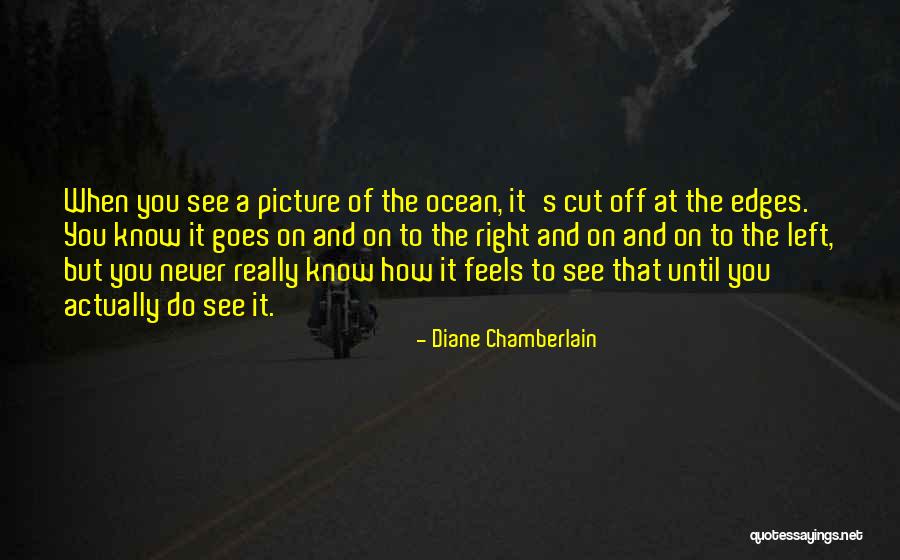 Dinglasan Lot Quotes By Diane Chamberlain Dinglasan Lot Quotes By Diane Chamberlain