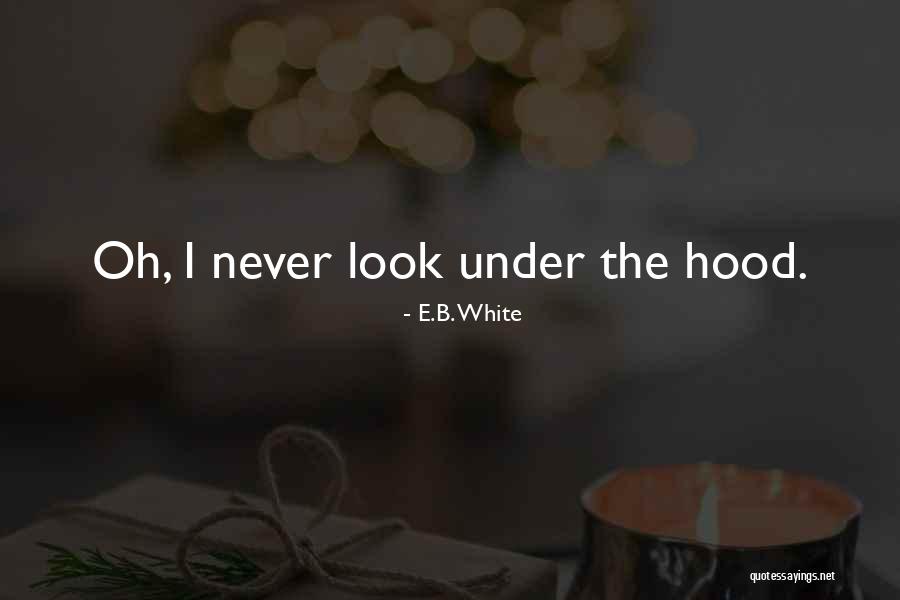 Dingles Emmerdale Quotes By E.B. White Dingles Emmerdale Quotes By E.B. White