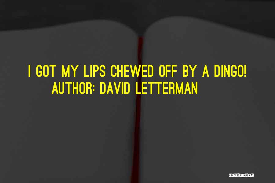 Dingo Quotes By David Letterman