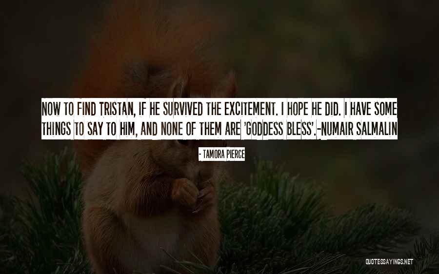 Dingrating Quotes By Tamora Pierce Dingrating Quotes By Tamora Pierce