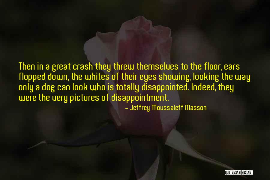 Diniz Design Quotes By Jeffrey Moussaieff Masson Diniz Design Quotes By Jeffrey Moussaieff Masson