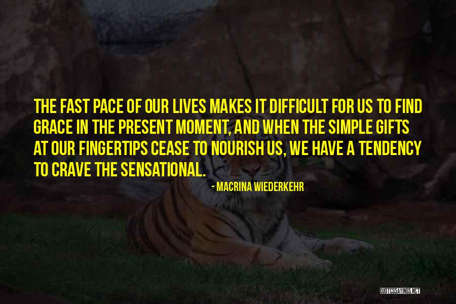 Dinizio Cause Quotes By Macrina Wiederkehr Dinizio Cause Quotes By Macrina Wiederkehr