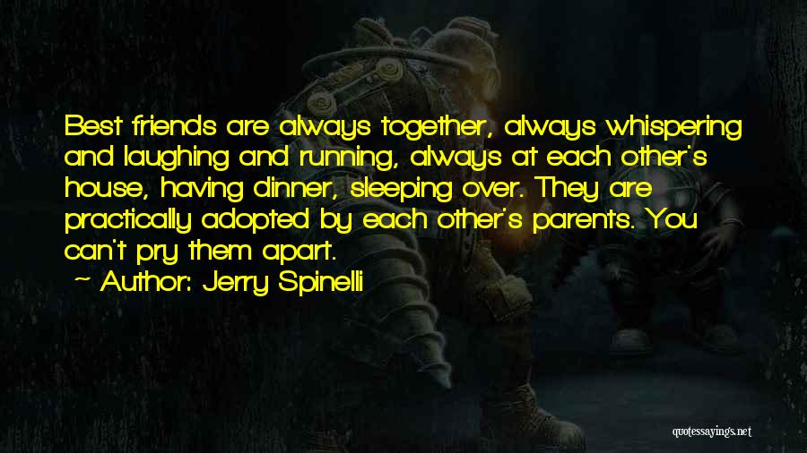 Dinner And Friends Quotes By Jerry Spinelli