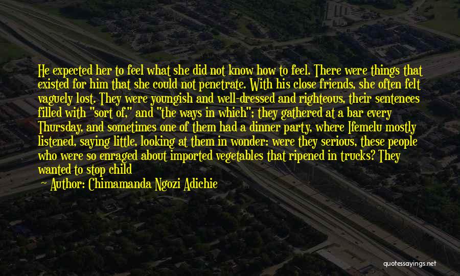 Dinner For One Quotes By Chimamanda Ngozi Adichie