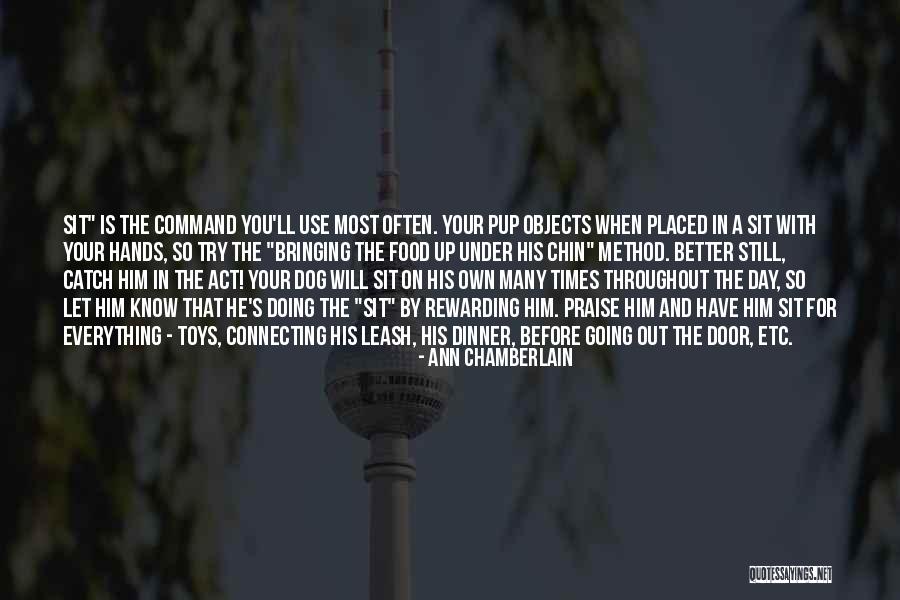Dinner Times Of Day Quotes By Ann Chamberlain