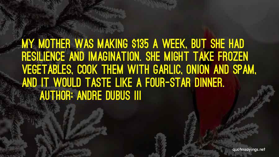 Dinner With Andre Quotes By Andre Dubus III