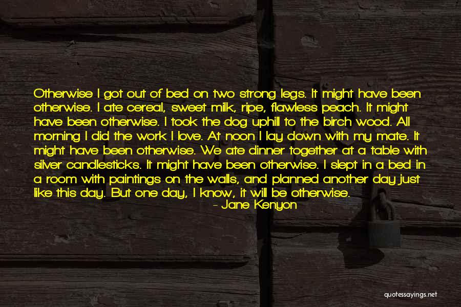 Dinner With Love Quotes By Jane Kenyon Dinner With Love Quotes By Jane Kenyon