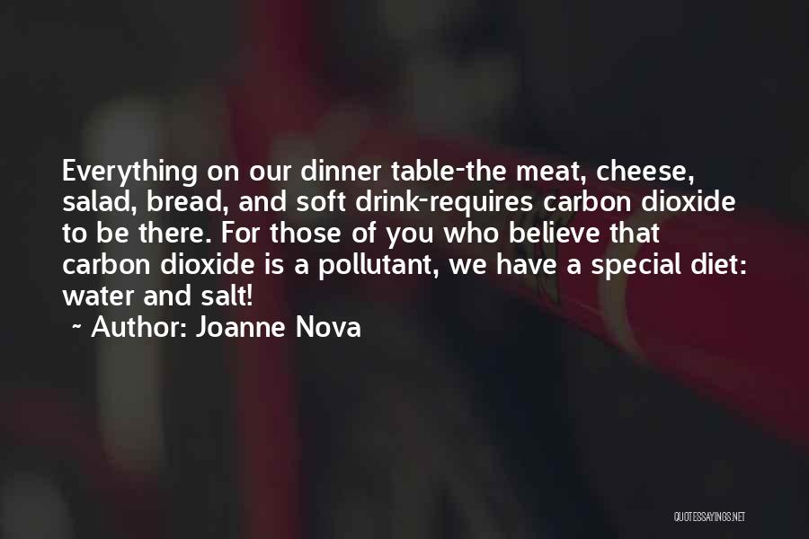 Dinner With Special Someone Quotes By Joanne Nova