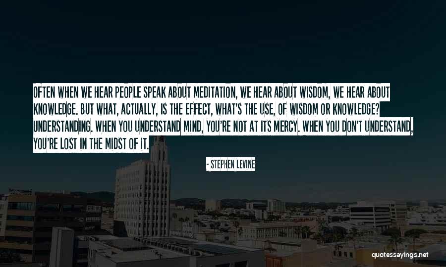 Dino Craft Quotes By Stephen Levine Dino Craft Quotes By Stephen Levine