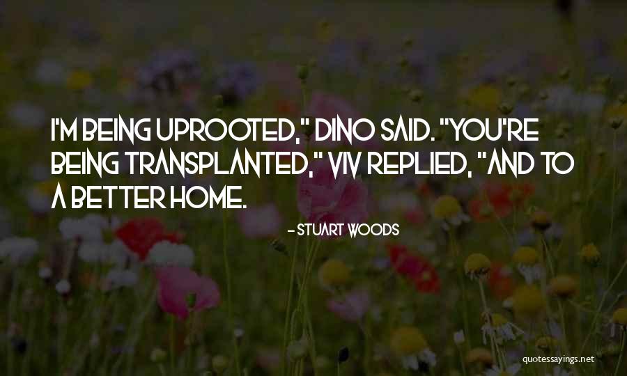 Dino Quotes By Stuart Woods Dino Quotes By Stuart Woods