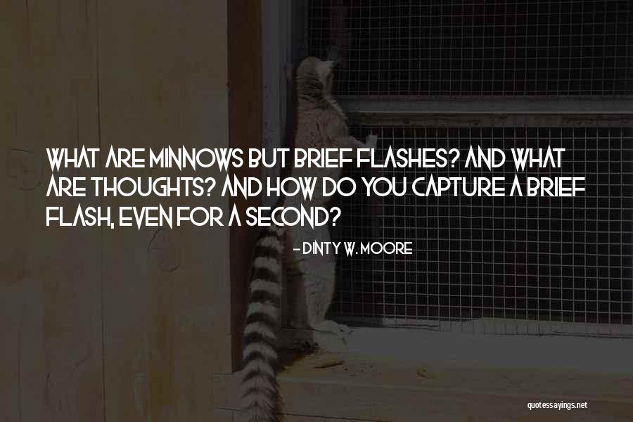 Dinty W. Moore Quotes 1862378 Dinty W. Moore Quotes 1862378