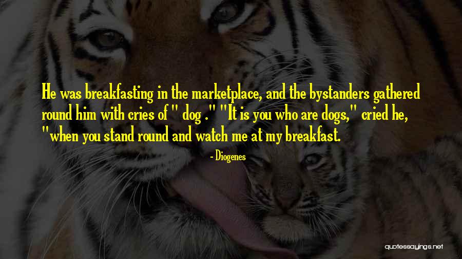 Diogenes Quotes 2246375 Diogenes Quotes 2246375