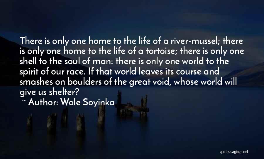 Diomedia La Quotes By Wole Soyinka