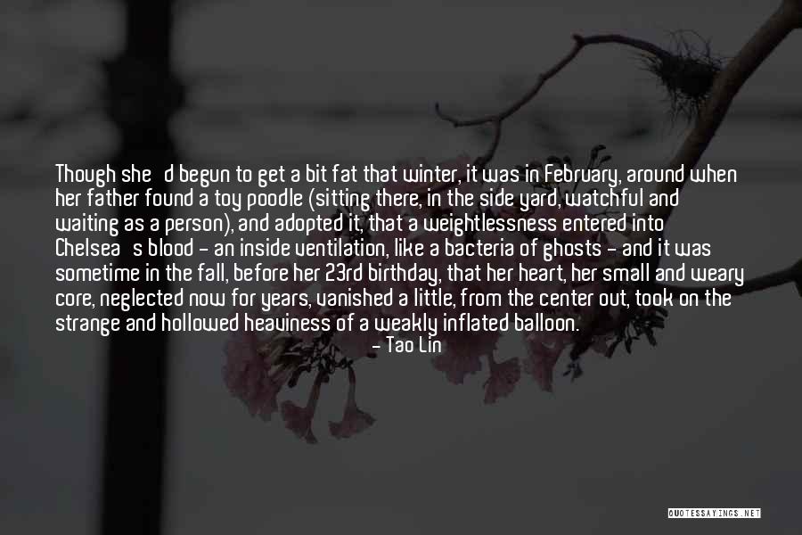 Diomedian Quotes By Tao Lin Diomedian Quotes By Tao Lin