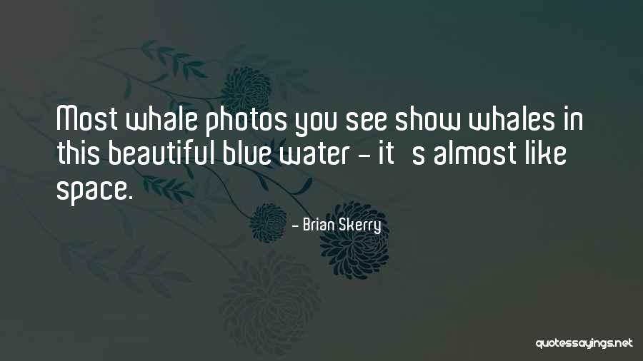 Dionysian Music Quotes By Brian Skerry Dionysian Music Quotes By Brian Skerry