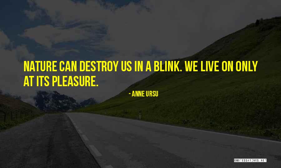 Dioor Quotes By Anne Ursu Dioor Quotes By Anne Ursu