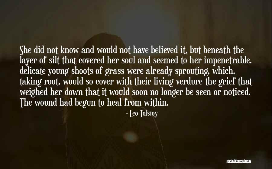 Diorios Somers Quotes By Leo Tolstoy Diorios Somers Quotes By Leo Tolstoy