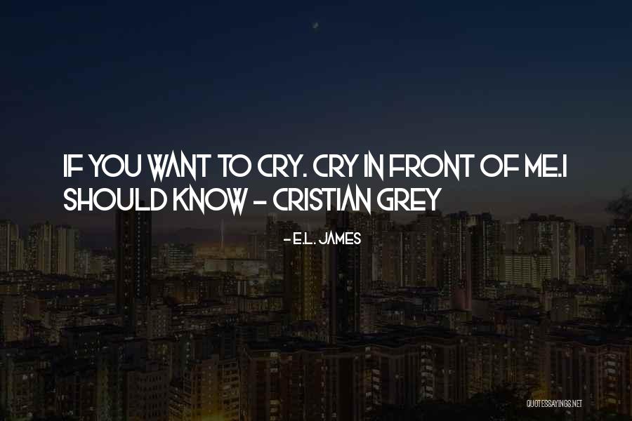 Dioscorides Global Holdings Quotes By E.L. James Dioscorides Global Holdings Quotes By E.L. James
