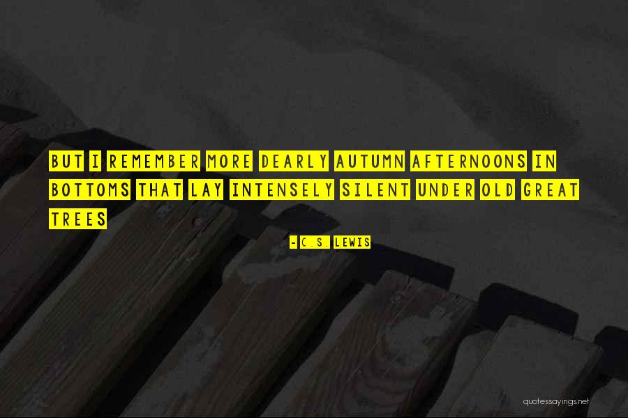 Diosmin Quotes By C.S. Lewis Diosmin Quotes By C.S. Lewis