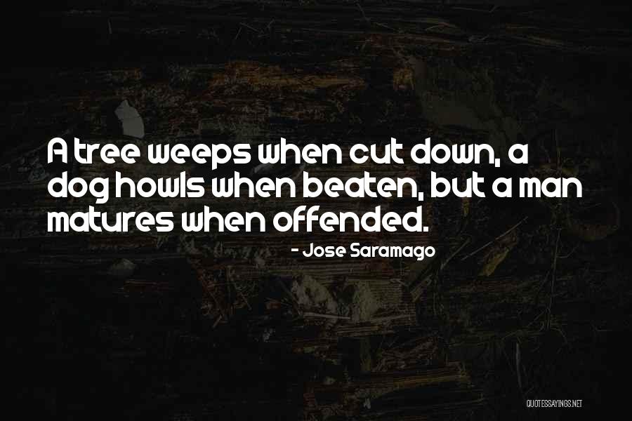 Dip Tobacco Quotes By Jose Saramago Dip Tobacco Quotes By Jose Saramago