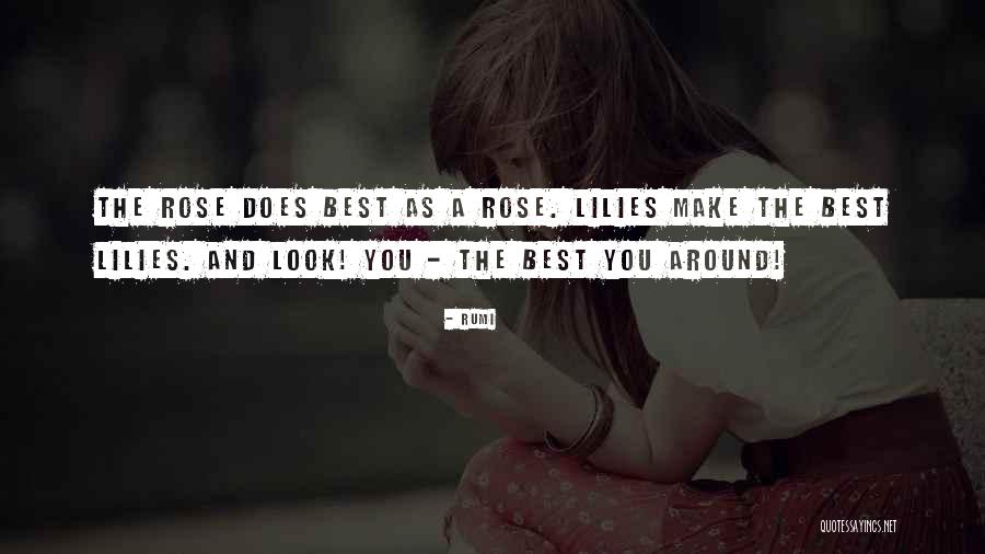 Dipino Fresh Quotes By Rumi Dipino Fresh Quotes By Rumi
