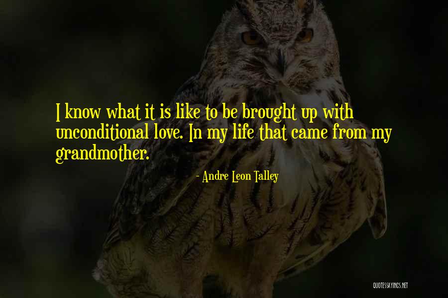 Dipl Ing Grad Quotes By Andre Leon Talley Dipl Ing Grad Quotes By Andre Leon Talley