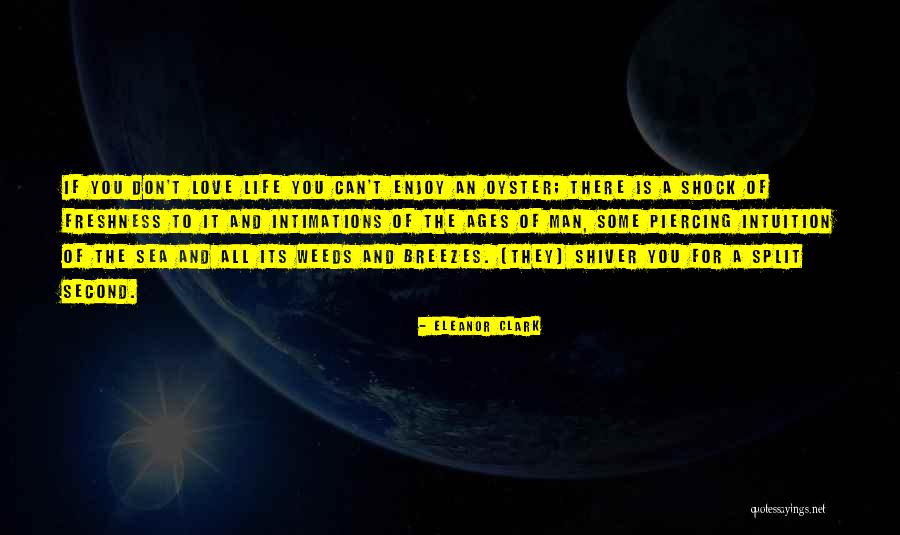 Diplomas Online Quotes By Eleanor Clark Diplomas Online Quotes By Eleanor Clark